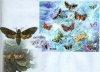 Ukraine 2006 Big Fdc Butterflies
