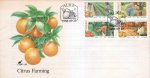 Ciskei 1988 Fdc & Stamps Citrus Farming Oranges