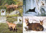 WWF Shqiptare 1990 Beautiful Maxi Cards Mountain Deer