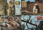 WWF Bhutan 1984 Beautiful Maxi Cards Golden Langur