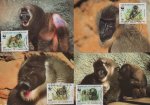 WWF Cameroun 1988 Beautiful Maxi Cards Drill Largest Monkeys