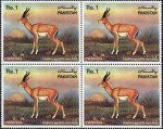 Pakistan Stamps 1983 Chinkara Gazelle