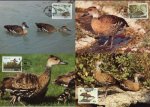 WWF Bahamas 1988 Maxi Cards Ducks