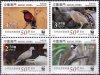 WWF China Macau 2011 Stamps Dove Bittern Birds MNH