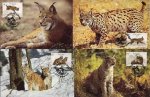 WWF Portugal 1988 Beautiful Maxi Cards Lynx Wild Cat