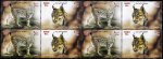 Iran 2016 Stamps Wild Cat Lynx