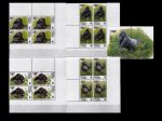 WWF Congo 2002 S/Sheet & Stamps Grauer's Gorilla MNH