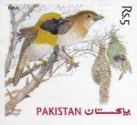 Pakistan Stamp 1976 Bird Baya Unissued MNH