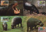 WWF Liberia 1984 Beautiful Maxi Cards Hippopotamus