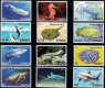Samoa 2014 Stamps Marine Life Fish Turtles Sharks MNH