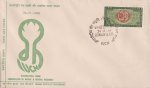 India 1969 Fdc & Stamp Conservation Of Nature Tiger