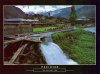 Pakistan Beautiful Postcard Tal Village Dir