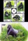 WWF Congo 1992 S/Sheet & Stamps Gorillas