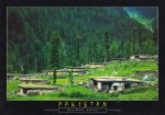Pakistan Beautiful Postcard Bala Sehri Kaghan Valley
