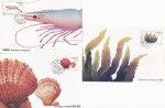 China 1992 Maxi Cards Marine Life Shrimp