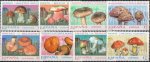 Spain 1993 Stamps Mushrooms