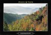 Pakistan Beautiful Postcard Jungle Mangal Mansehra
