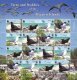 WWF Pitcairn Islands 2007 Stamps Terns & Noddies Birds MNH