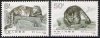 China 1990 Stamps Snow Leopard
