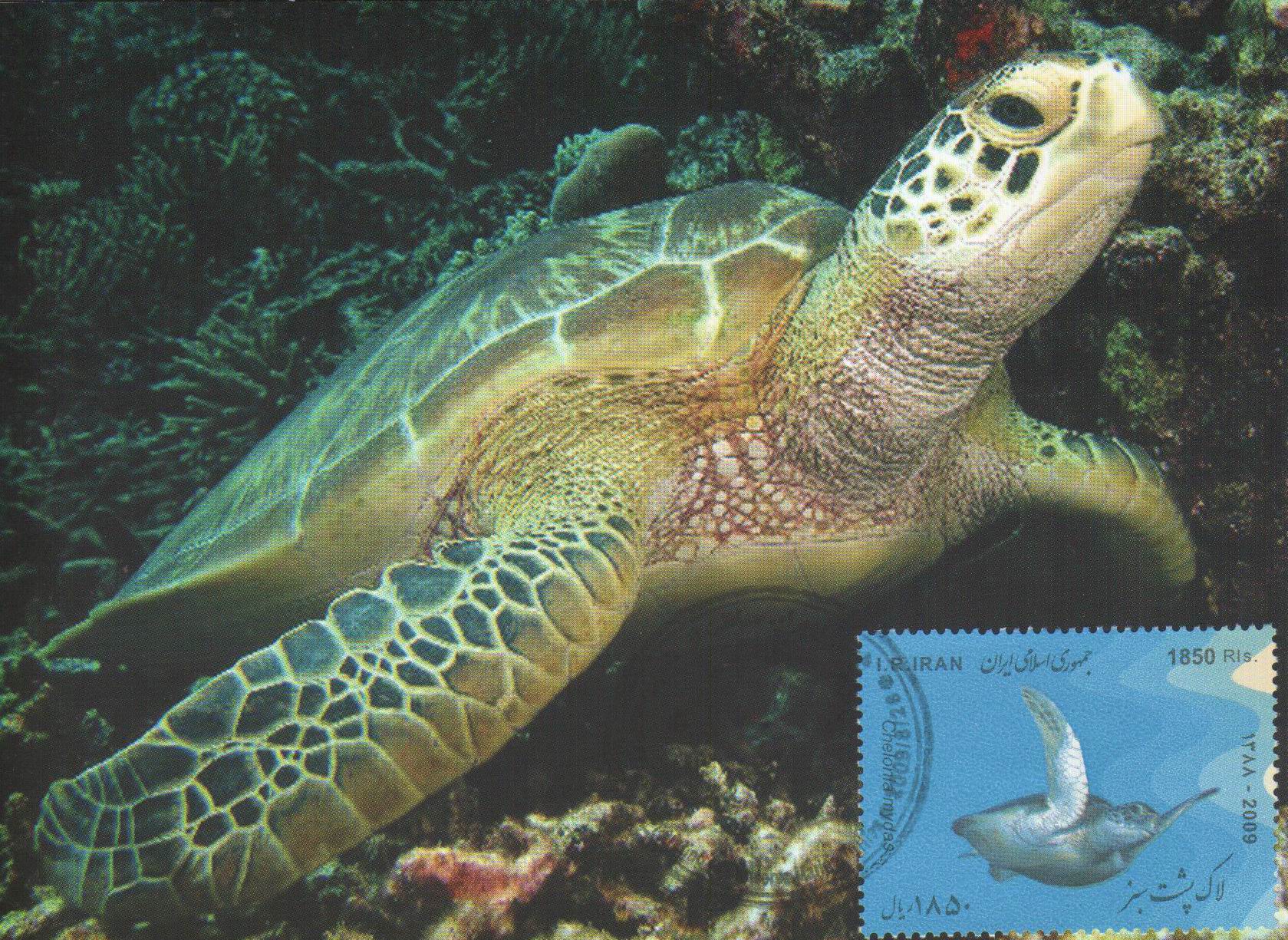 (image for) Iran Fdc 2009 & S/Sheet Year Of Turtle