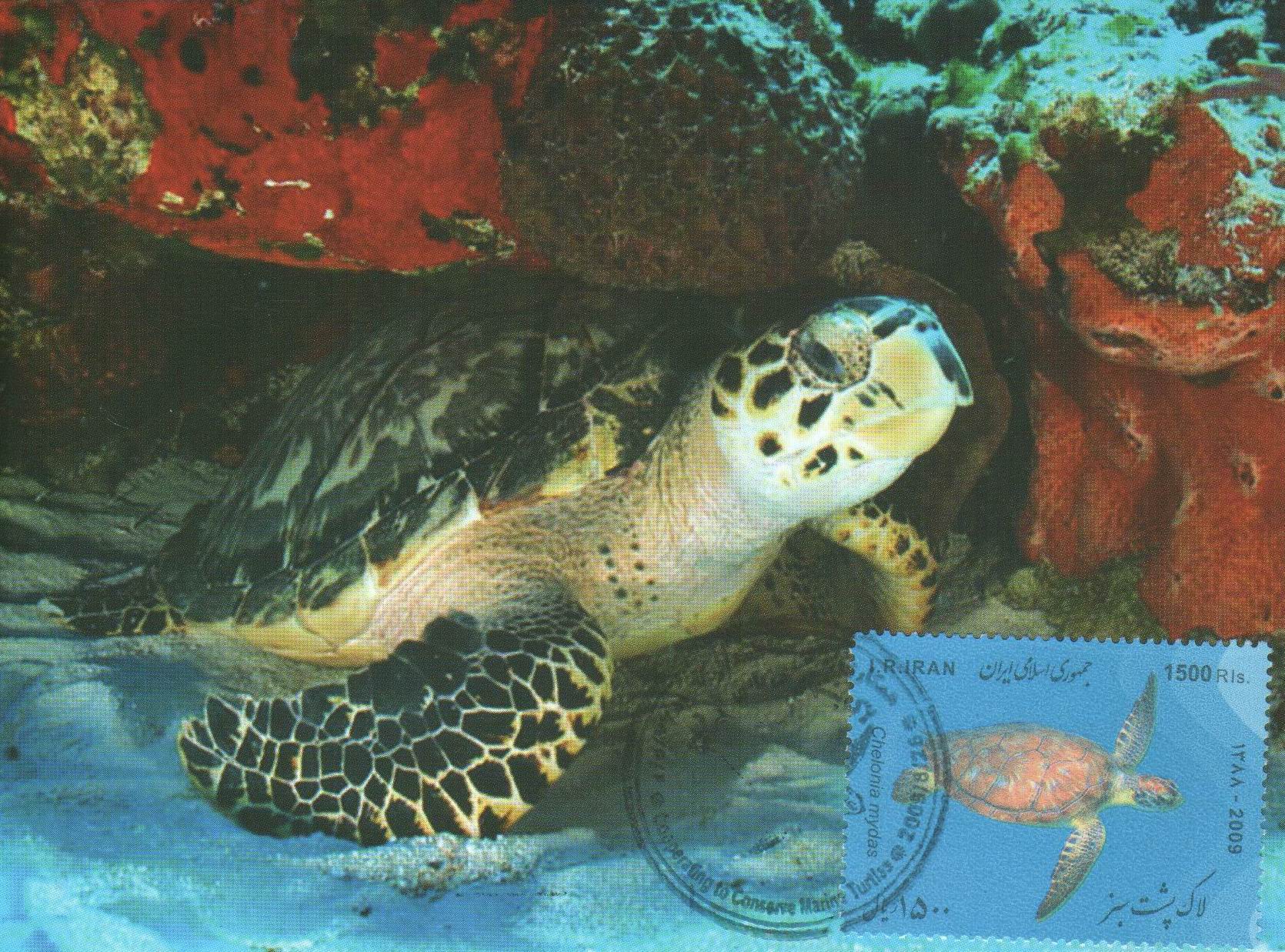 (image for) Iran Fdc 2009 & S/Sheet Year Of Turtle