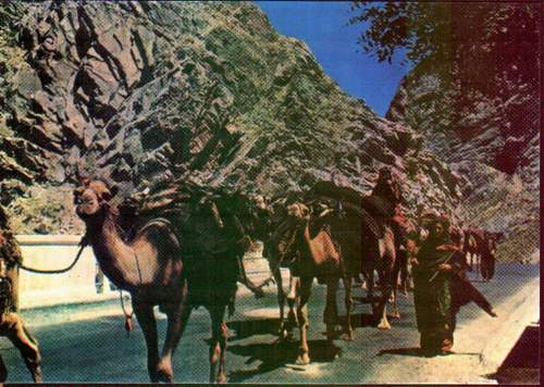 (image for) Afghanistan Postcard Nomads Carvan On The Road