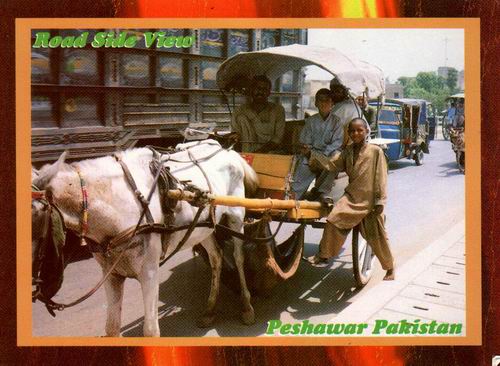 (image for) Pakistan Beautiful Postcard Roadside Karachi Victoria
