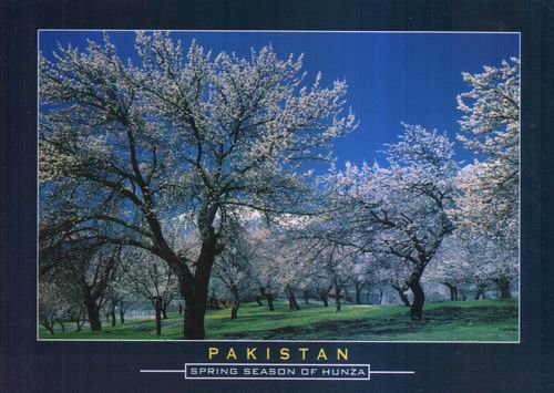 (image for) Pakistan Beautiful Postcard Hunza Valley