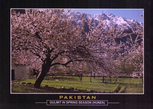 (image for) Pakistan Beautiful Postcard Hunza Valley