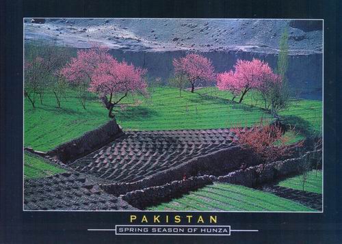 (image for) Pakistan Beautiful Postcard Hunza Valley
