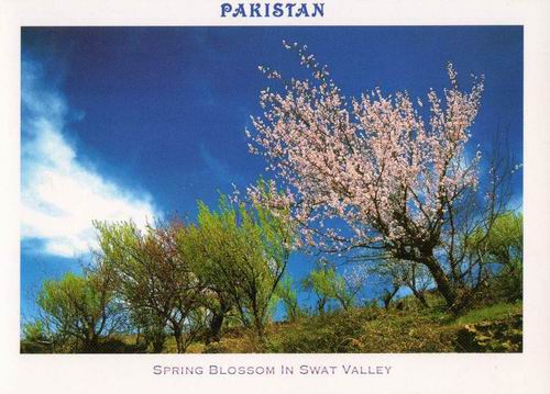 (image for) Pakistan Beautiful Postcard Swat Valley