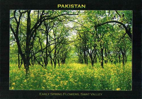 (image for) Pakistan Beautiful Postcard Swat Valley