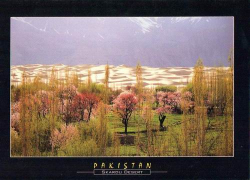 (image for) Pakistan Beautiful Postcard Skardu
