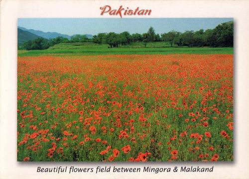 (image for) Pakistan Beautiful Postcard Swat Valley