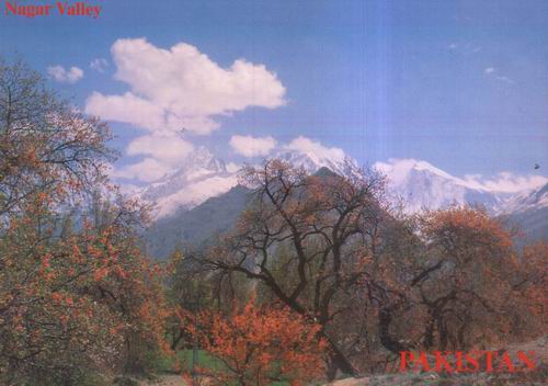 (image for) Pakistan Beautiful Postcard Nagar Valley