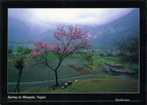 (image for) Pakistan Beautiful Postcard Nagar Valley