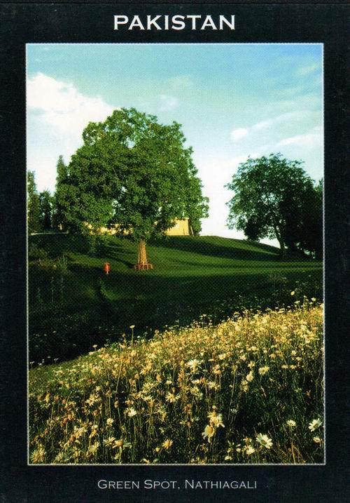 (image for) Pakistan Beautiful Postcard Green Spot Nathiagali