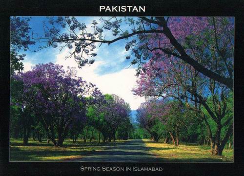 (image for) Pakistan Beautiful Postcard Spring In Islamabad