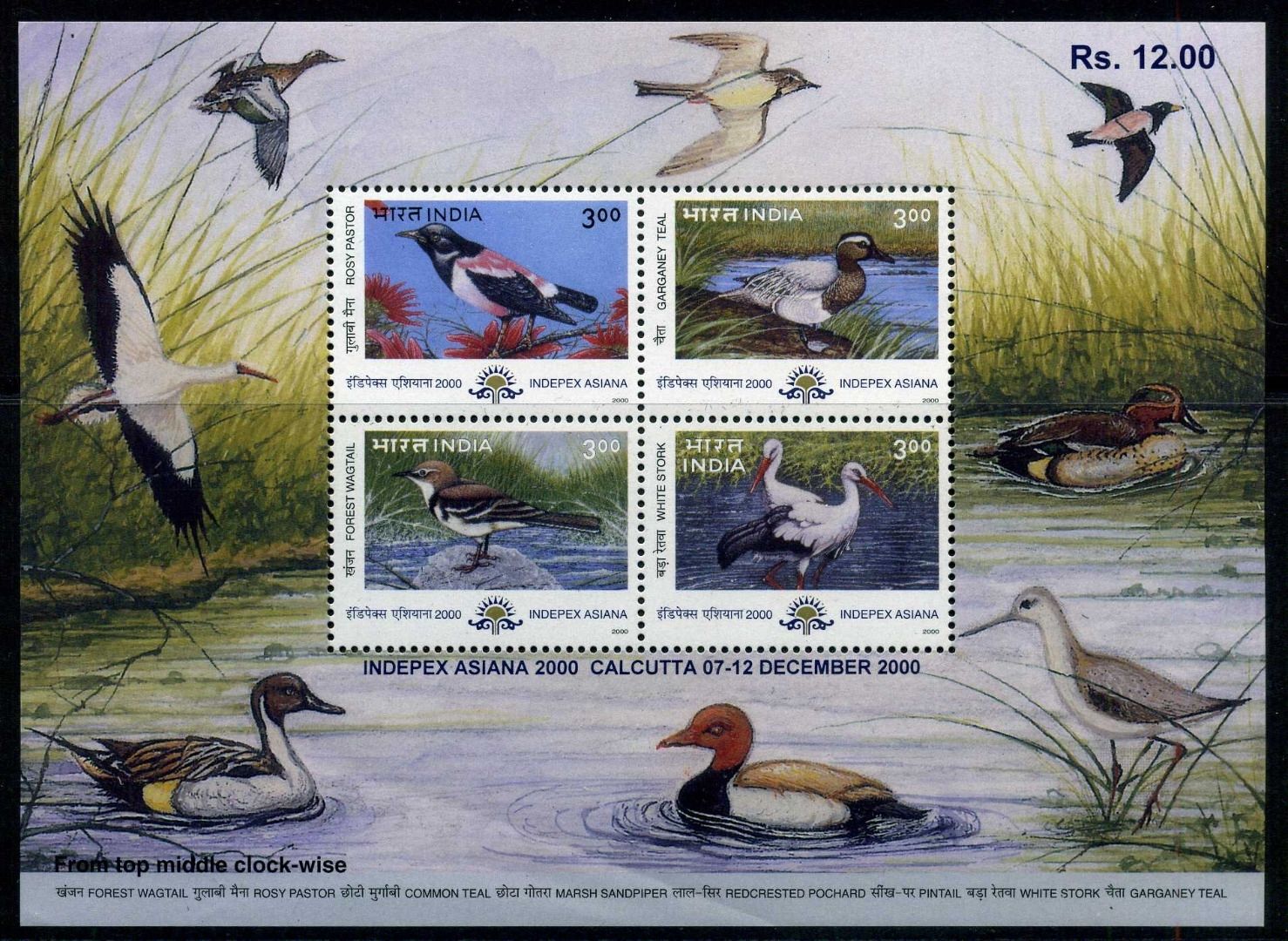 (image for) India 2000 Stamps S/Sheet Migratory Birds Ducks