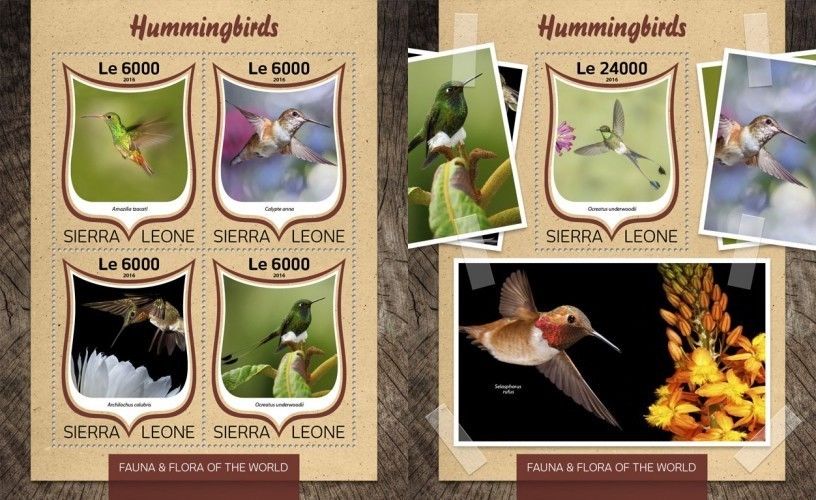 (image for) Sierra Leone 2016 Stamps Humming Birds