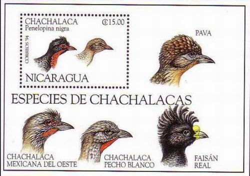 (image for) WWF Nicargua 1994 Stamps S/Sheet Highland Guan Pheasant Bird