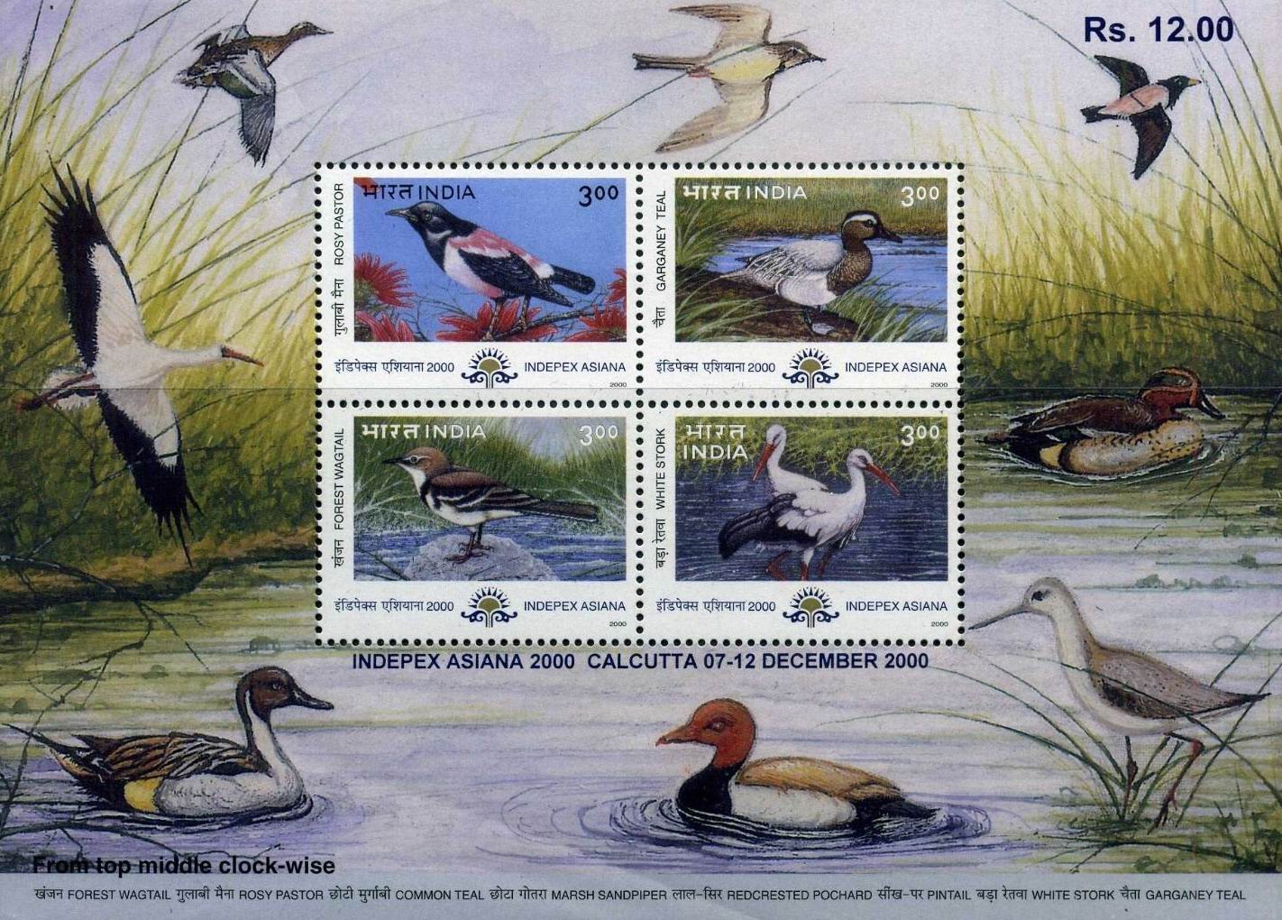 India Stamps 2000 Presentation Pack Migratory Birds Of India - Click Image to Close