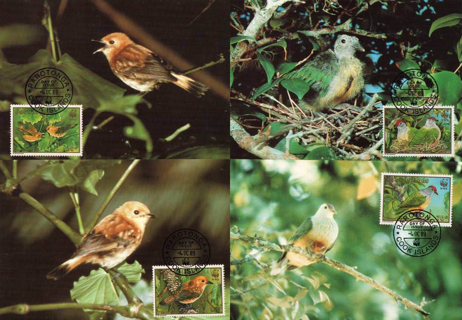 (image for) WWF Cook Island 1989 Maxi Cards Birds Rarotonga Flycatcher