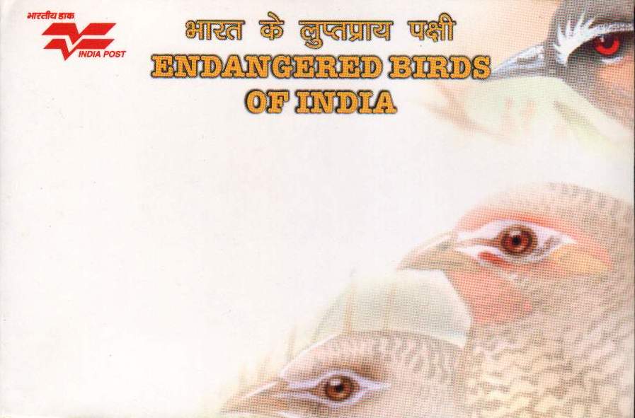 (image for) India Maxi Cards 2006 Endangered Birds Of India