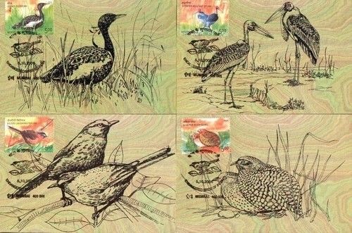 (image for) India Maxi Cards 2006 Endangered Birds Of India