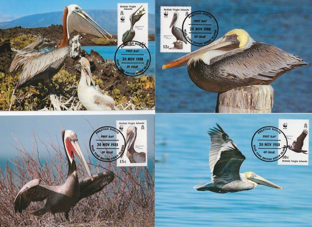 (image for) WWF British Virgin Island 1988 Maxi Cards Brown Pelicans