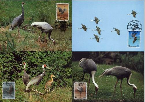 (image for) WWF Korea 1988 Maxi Cards White Naped Cranes