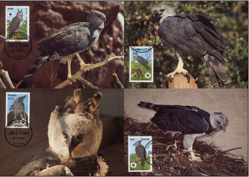 (image for) WWF Guyana 1990 Maxi Cards Harpie Eagles