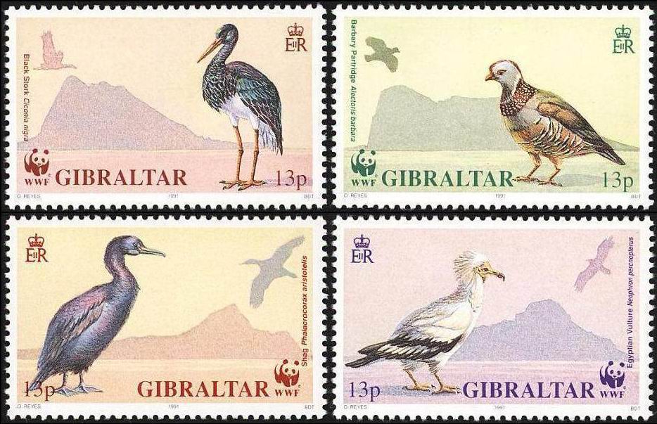 (image for) WWF Gibraltar 1991 Stamps Barbery Partridge Black Stork