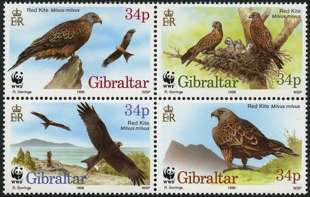 (image for) WWF Gibraltar 1991 Stamps Birds Barbery Partridge Black Stork